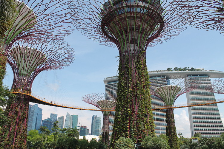 The supertrees and Marina Bay Sands at Gardens by the Bay, Singapore