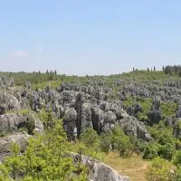 A great view of the vastness of the Stone Forest in Yunnan, China