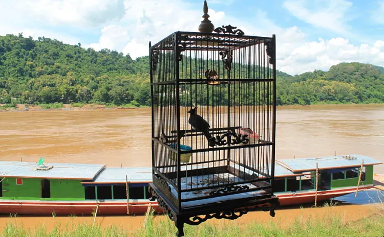 A bird cage at a riverside restaurant in Luang Prabang, Laos