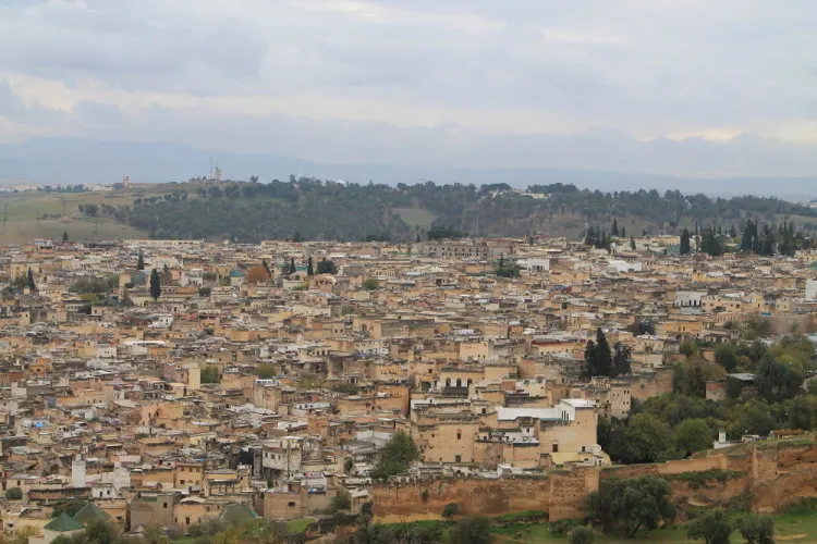 The view of the medina in Fez from the Marinid Tombs in Fez, Morocco