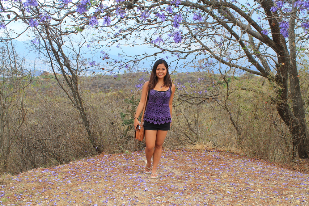 A year on the road: Flowers in Mexico