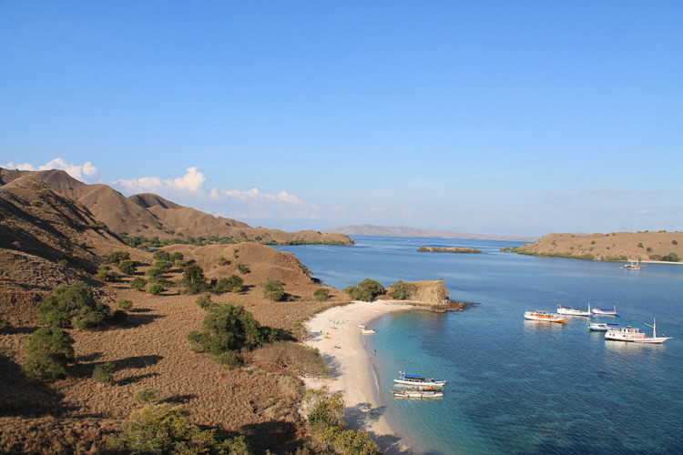 Komodo National Park - a must see for nature lovers who are backpacking in Indonesia