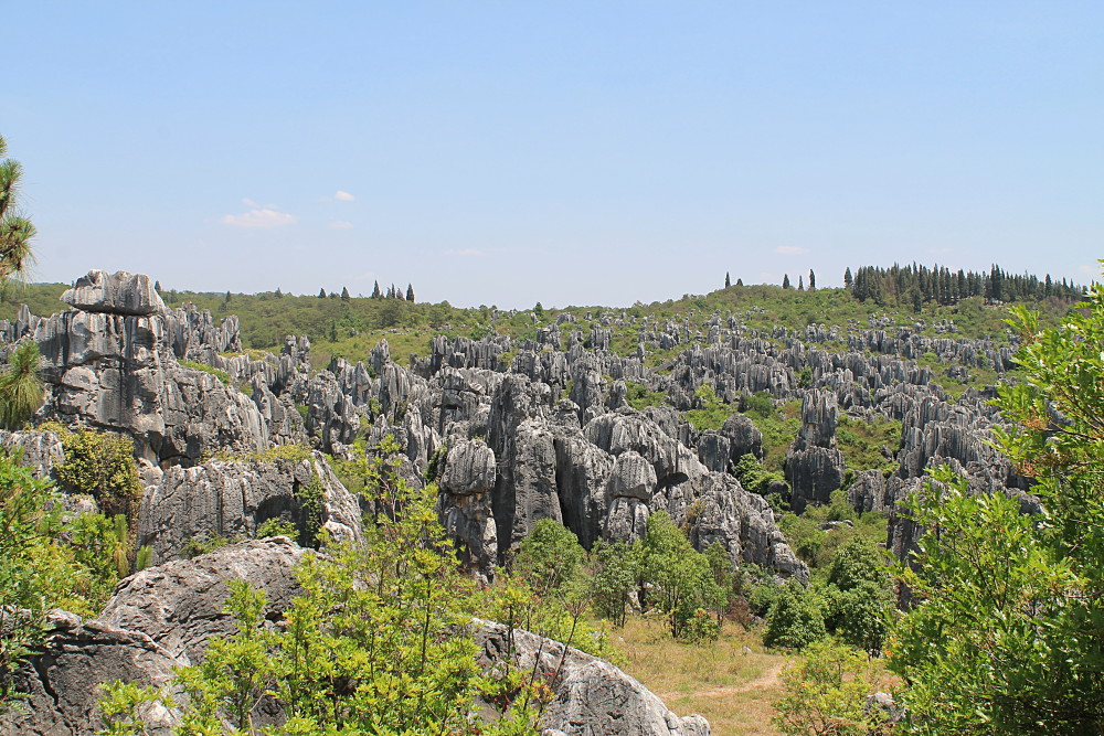 A year on the road: Stone Forest, Yunnan, China