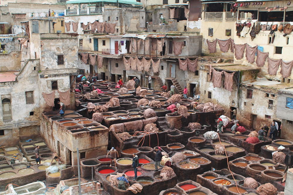 A year on the road: A tannery in Fez, Morocco