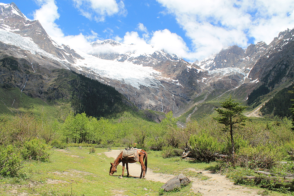 A year on the road: Yubeng, China