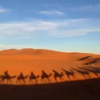 Camel riding: The 3 day Sahara Desert tour from Marrakech, Morocco