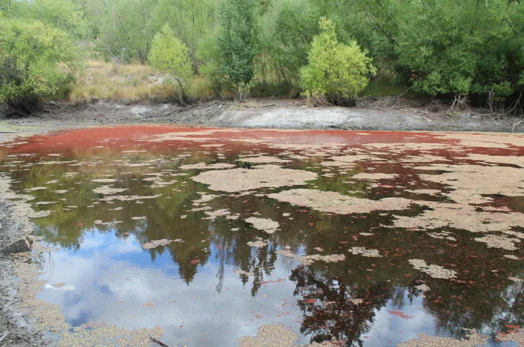 A red pond, St Bathans, New Zealand