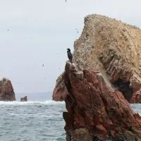 Ballestas Islands, Paracas, Peru