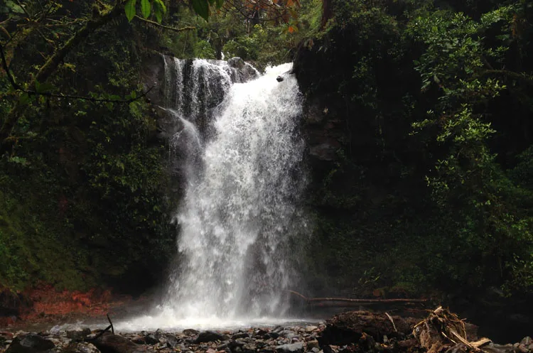 Cloud forest hiking in Boquete, Panama: The Lost Waterfalls