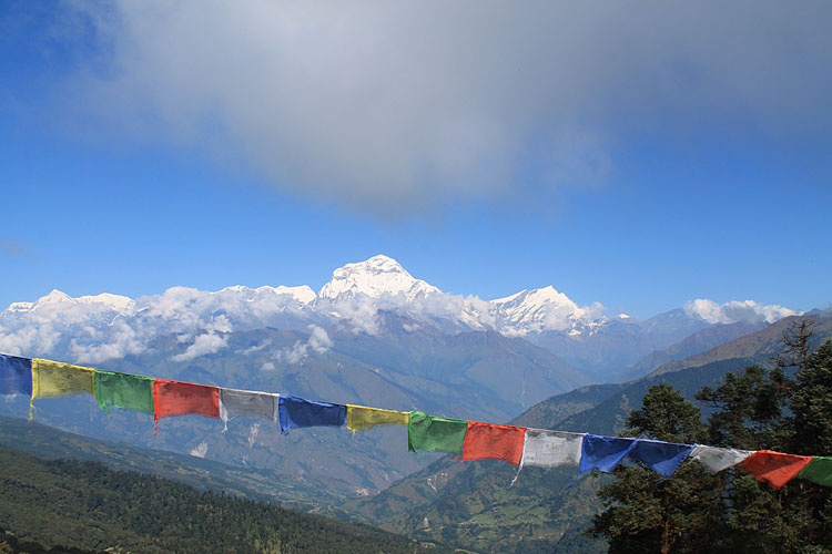 The 4 Day Poon Hill Trek: Easy Trekking in Nepal
