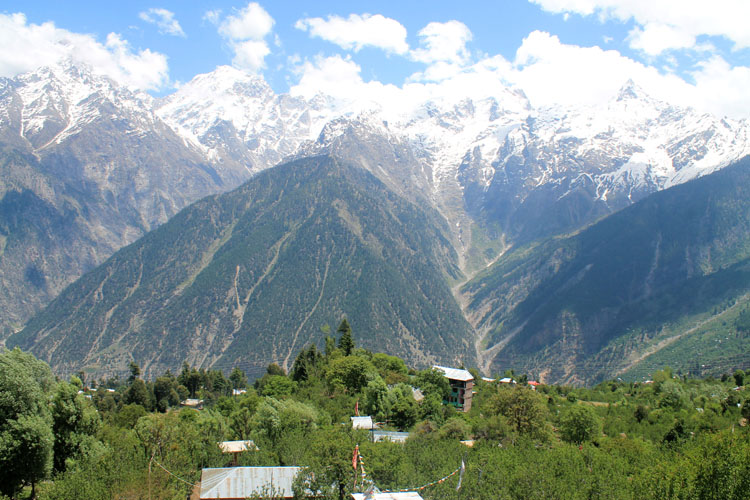 apple-orchards-kalpa-india