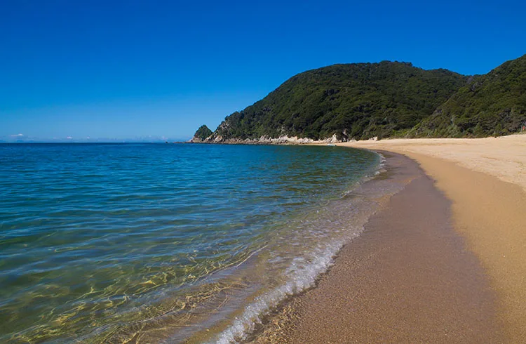 Anapai Bay, seen while on a day hike in Abel Tasman National Park, New Zealand