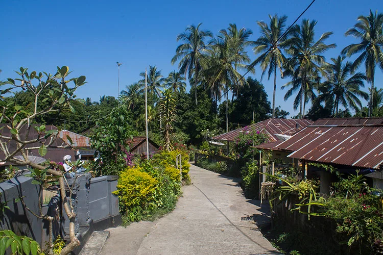 Things to do in Munduk, Bali -- see a rural village