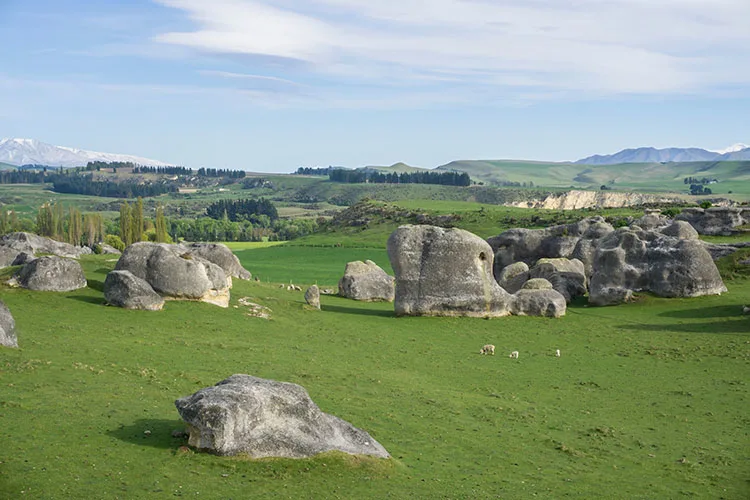 Two week New Zealand itinerary: Elephant Rocks